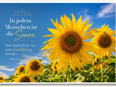 Pfarrbrief 03.08. – 04.10.2026